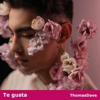 Te gusta, music by ThomasDave.